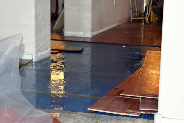 Professional Water Damage Restoration technician working in Concordia, MO